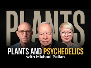 The Hidden Dimensions of Consciousness with Michael Pollan — video thumbnail